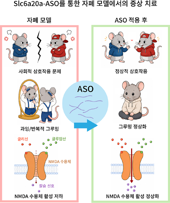 자폐증 핵심 증상 개선할 새로운 치료 外 [과학게시판]