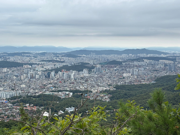 서울 아파트 전경. [사진=김민지 기자]