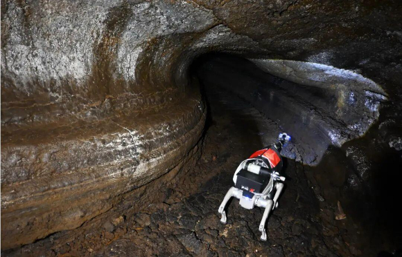 베이징대 연구팀이 달 지하 지형 탐사용 로봇 개 시제품을 헤이룽장성의 한 용암동굴에서 테스트하는 모습. [사진=인민일보]