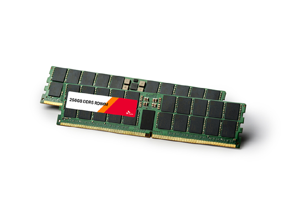 SK하이닉스의 1b 32Gb 기반 256GB DDR5 RDIMM 제품. [사진=SK하이닉스]