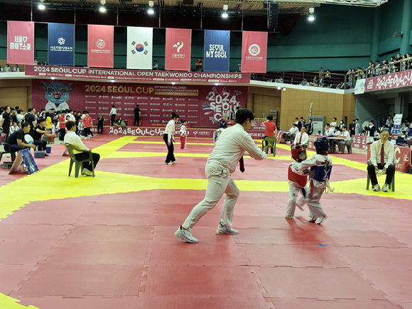 서울시가 서울시체육회와 함께 시민 생활체육 활성화를 위한 '2025 민간단체 생활체육대회 지원사업'에 참여할 체육단체를 모집한다. 사진은 '제1회 서울시 남녀 혼성 풋살대회(FMS League)'. [사진=서울시]