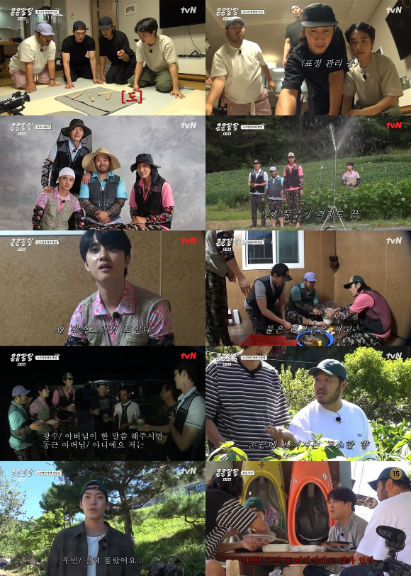 콩콩팥팥 [사진=tvN]