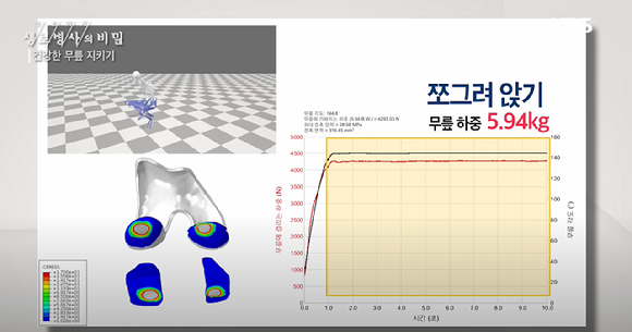 지난 7일 방송된 KBS '생로병사의 비밀'에서는 무릎 건강을 위협하는 일상 속 습관으로 쪼그려 앉기를 꼽았다. [사진=KBS]