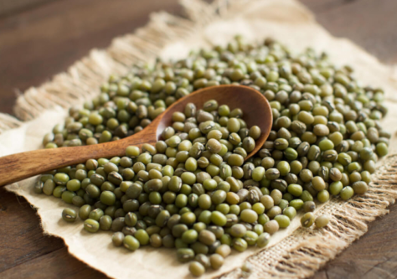 염증, 해독 작용, 장 건강 등에 녹두수가 효과적이라는 전문가의 설명이 나왔다. 사진은 본 기사 내용과 무관. [사진=lamuscle]