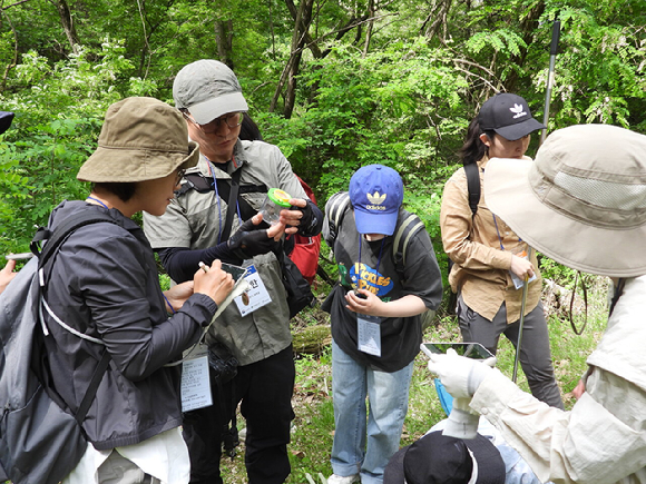 시민과학자들이 전문가와 함께 하는 식물탐사 활동을 통해 도시숲 생태계의 가치를 이해하고 있다. [사진=한국수목원정원관리원/산림청]