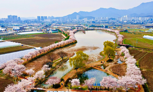 산림청은 도시환경 개선에 기여하고 시민의 삶의 질을 높이는 '2024년 모범 도시숲' 5곳을 선정했다. 사진은 모범 도시숲으로 선정된 '구미 지산샛강생태공원'. [사진=산림청]