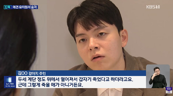 서울의 한 애견 유치원에서 반려견이 원장이 던진 휴대전화에 맞아 숨졌으나, 유치원 측이 "계단에서 떨어져 죽었다"며 거짓 설명을 해 논란이다. 사진은 KBS 방송화면 캡처. [사진=KBS]