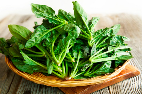 시금치가 항산화와 심혈관 건강, 시력 유지 등에 도움이 될 수 있다는 전문가 설명이 제시됐다. 사진은 AI 생성 이미지로, 본 기사 내용과 무관. [사진=요리픽/제미나이]