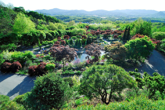 산림청은 수목원 내 임야에 세재혜택이 적용됨을 최종 확인했다고 25일 밝혔다. 사진은 한택식물원 전경. [사진=산림청]