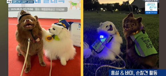 아침마당 [사진=KBS ]