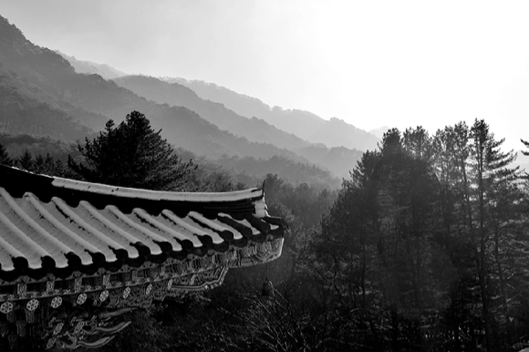 가지끝에 남아있는 설화(상고대) [사진=박성기 ]