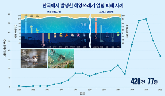 폐기된 자망에 얽힌 바다오리(Uria aalge). [사진=구자언 ]