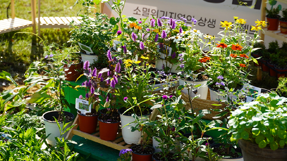 봉자장터 [사진= 국립백두대간수목원]