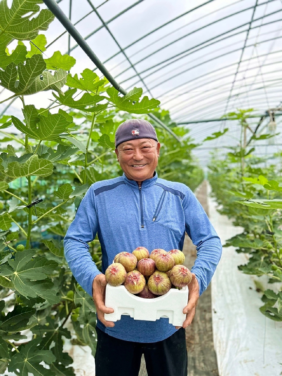 전남 함평에 위치한 '함평농부' 채상희 대표가 무화과 상자를 들고 있다. [사진=쿠팡]