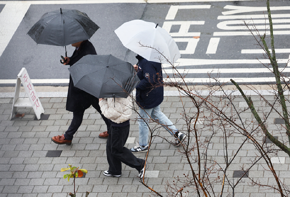 서울 성북구 고려대학교 서울캠퍼스에서 학생들이 우산을 쓰고 이동하고 있다. [사진=뉴시스]