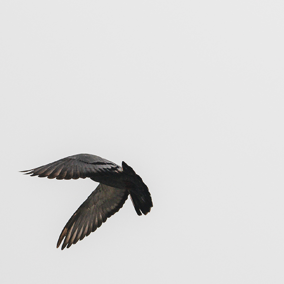 [오늘가요] 루시드폴, 눈부신 햇살 향한 연대·희망의 찬가 &apos;또 다른 곳&apos;