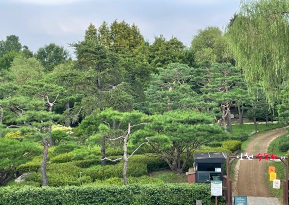 인천수목원 소나무원 전경 [사진=인천시]