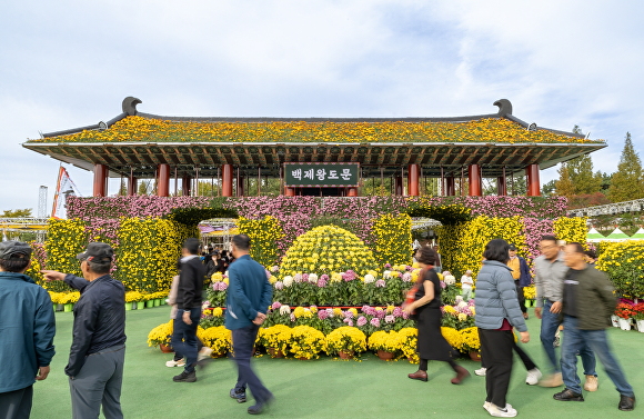 천만송이 국화축제에 전시된 국화꽃 [사진=익산시 ]