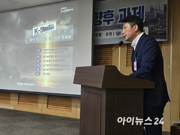 정은미 산업연구원 선임연구위원이 12일 국회서 진행된 'K-스틸법 발의, 그 의미와 향후 과제' 세미나에서 발언하고 있다. [사진=최란 기자]