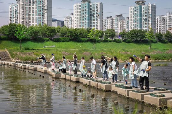 27일 안양천 다리에서 코웨이 임직원 가족 봉사단이 EM흙공을 던지고 있다. [사진=코웨이]