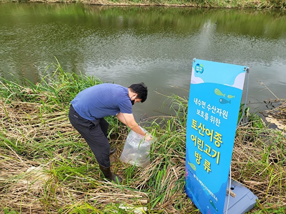 경기도해양수산자원연구소가 8개 시군 하천에 어린 미꾸리 4만마리를 방류하고 있다. [사진=경기도청]