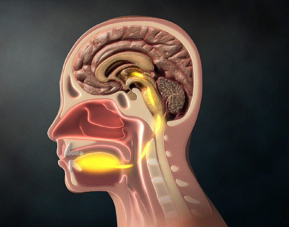 먹어도 먹어도 멈출 수 없는 식탐은 바로 '맛 중독'이다. [사진=픽사베이]