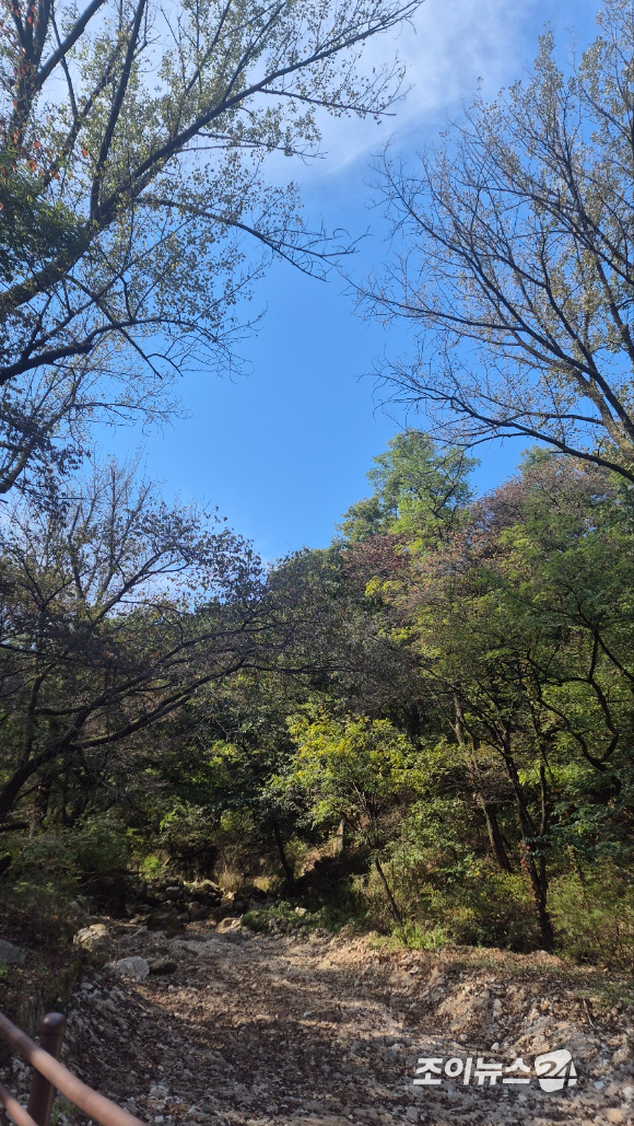 '스타 더윈드와 함께 하는 팬트레킹-제14회 희망찾기 등산&middot;트레킹 교실' 중 바라본 보광사 [사진=김양수 기자]