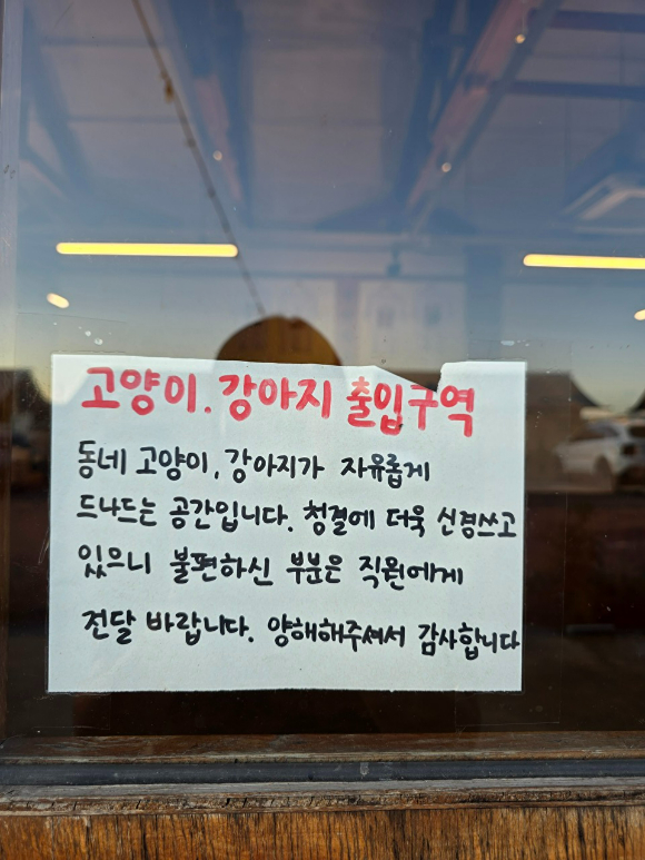 잔디밭에 고양이가 앉아 있다. [사진=구서윤 기자]