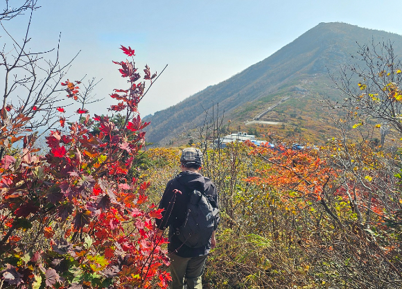 강원 속초시 설악산국립공원 대청&sim;한계령 일원이 단풍으로 물들고 있다. [사진=연합뉴스]