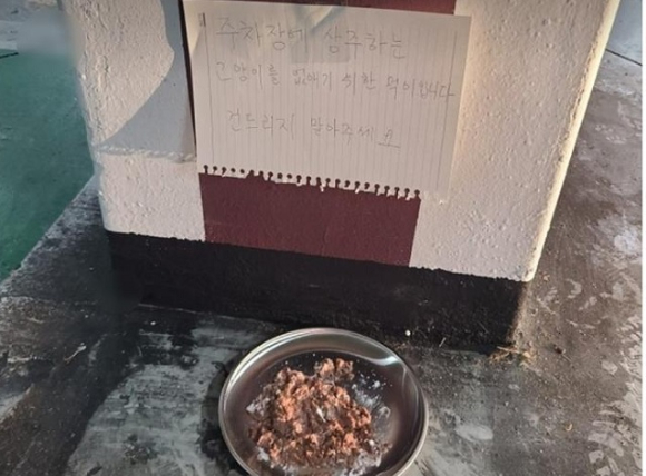 한 40대 남성이 길고양이를 죽이려는 목적으로 살생용 먹이를 만들어 내놓았다는 글이 올려 논란이다. 사진은 남성이 게재한 먹이 사진. [사진=동물보호단체 카라]
