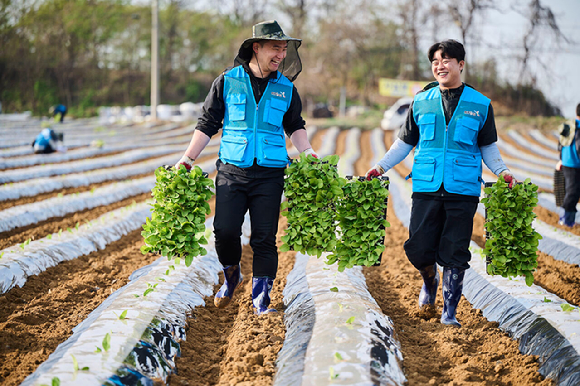 KT&G 임직원 봉사단이 15일 충북 진천군에 위치한 잎담배 농가에서 모종이식 봉사활동을 하고 있다. 2026.04.15 [사진=KT&G 제공]
