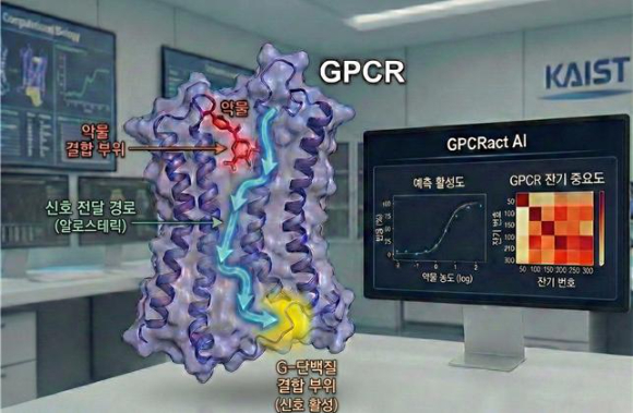 단백질 고수 &lsquo;알파폴드&rsquo; 한계를 넘어서는 AI를 국내 연구팀이 개발했다. 신약 개발에 속도가 붙을 것으로 기개된다. [사진=KAIST]