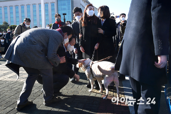 윤석열 국민의힘 대선 후보가 13일 오전 서울 여의도 국회에서 열린 중앙선대위 장애인본부 전국 릴레이정책투어 '장문현답(장애인 문제의 답은 현장에 있다)' 출정식에서 김예지 국민의힘 의원의 안내견 조이를 쓰다듬고 있다. [사진=국회사진취재단]