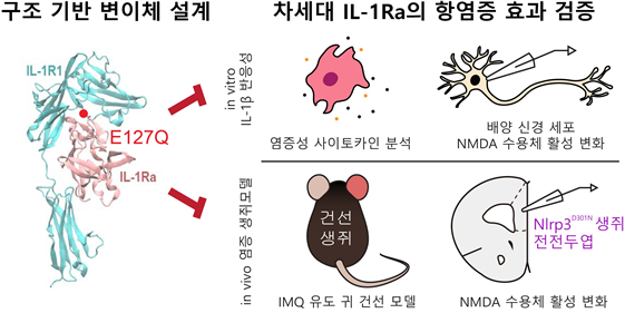 AI 설계 항염증 단백질, 기존 치료제보다 효과↑ 外 [과학게시판]