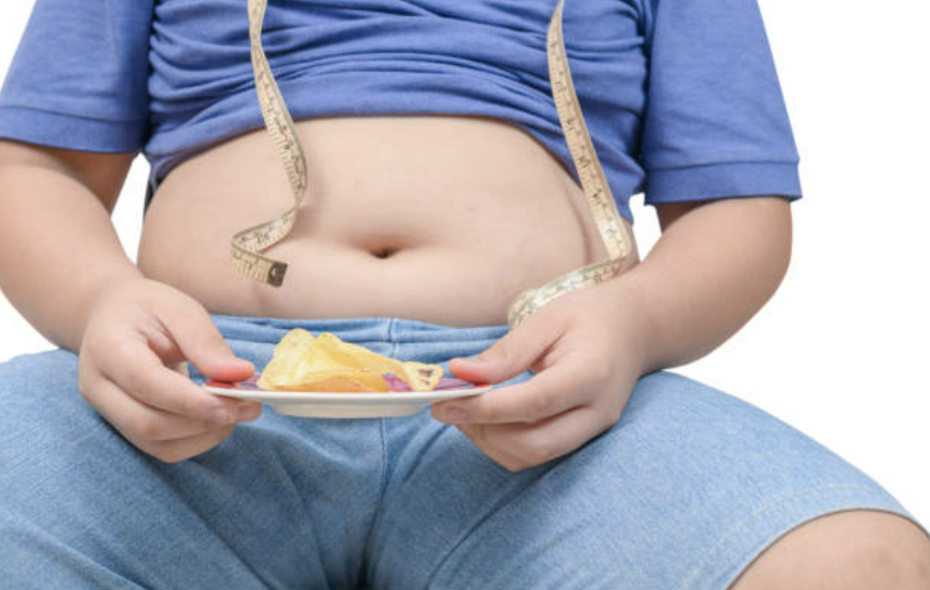 소아비만 관련 이미지. 기사 내용과는 무관함. [사진=픽사베이]