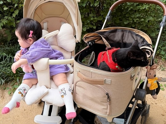 박수홍 딸 재이X반려묘 다홍이, 서로 외면하는 사이? 귀여운 일상에 엄마 미소