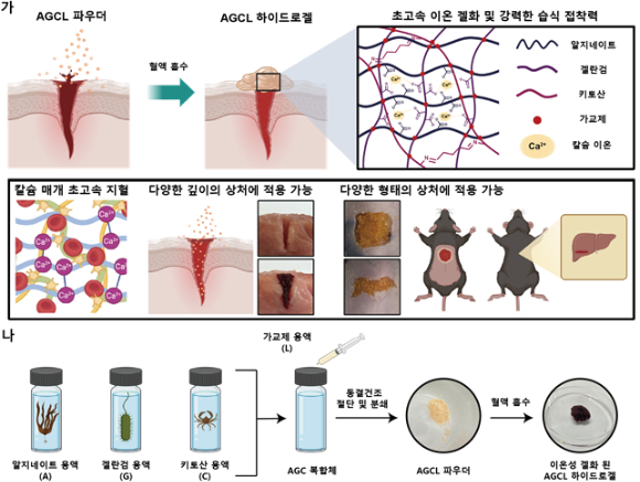 뿌리면 1초 만에 피를 멈추게 하는 차세대 파우더 지혈제가 개발됐다. 육군 소령이 참여한 연구팀 성과여서 눈길을 끈다. [사진=KAIST]