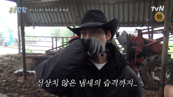 콩콩팜팜 [사진=tvN ]
