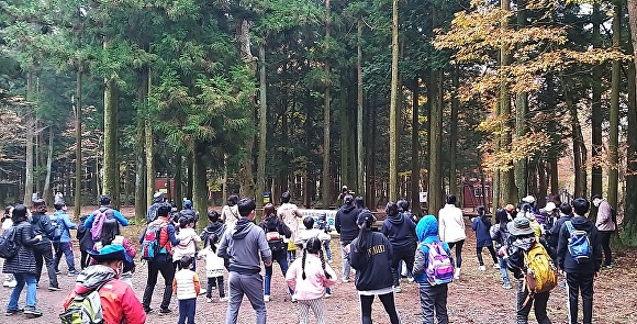 가족참여 사려니 숲길 걷기 프로그램 [사진=제주도체육회]