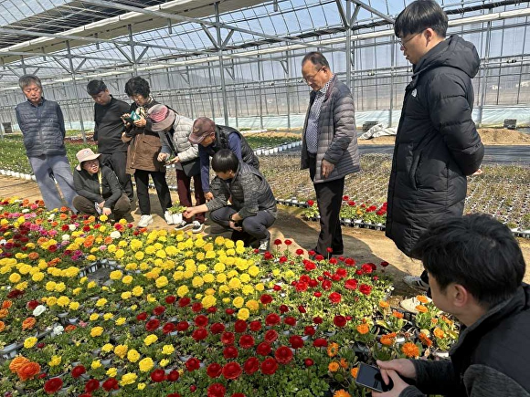 봄꽃 재배 현장 집합교육 모습[사진=세종시]