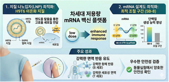 국내 연구팀이 차세대 저용량 mRNA백신 플랫폼을 개발했다. [사진=생명연]