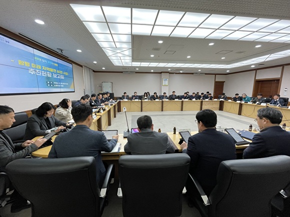 전라남도 함평군이 미래 지역발전 비전사업 보고회를 열고 비전사업 추진현황을 점검하고 있다 [사진=함평군]