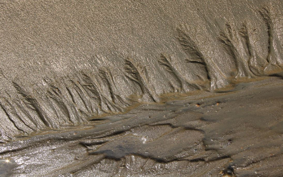 전북 군산 한 갯벌에서 신원미상의 남성 변사체가 발견돼 경찰이 수사에 착수했다. 본 기사와 무관한 이미지. [사진=픽사베이@pieonane]