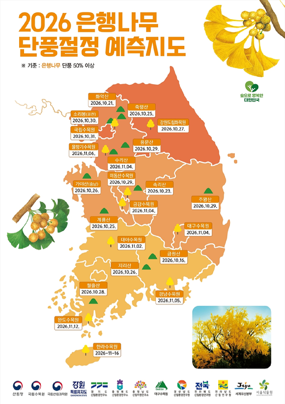 2026 단풍절정 예측지도-은행나무. [사진=산림청]