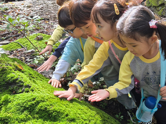 정기 숲놀이 교육에 참여한 만 3~5세 아이들이 숲속 바위에 자란 이끼를 손으로 만지며 촉감을 느껴보는 모습. [사진=한국산림복지진흥원 국립칠곡숲체원 ]