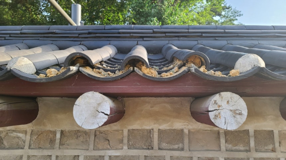 종묘 담장 기와 파손 모습 [사진=국가유산청]