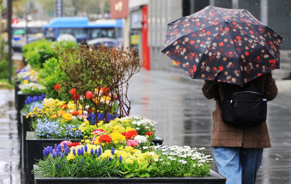 비 내리는 서울 광화문 광장에서 시민들이 우산을 들고 꽃 옆을 지나고 있다. [사진=연합뉴스]