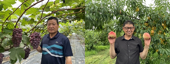 포도왕 이상인·복숭아왕 장현철씨(왼쪽부터). [사진=옥천군]