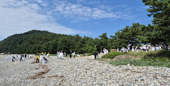 해안가 정화 활동 사진 [사진=인천시]
