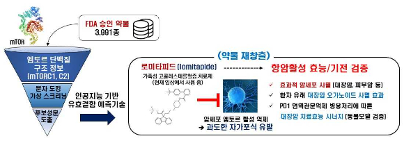 약물 가상 스크리닝 기술을 이용한 로미타피드 항암효능 개발 과정. [사진=카이스트]